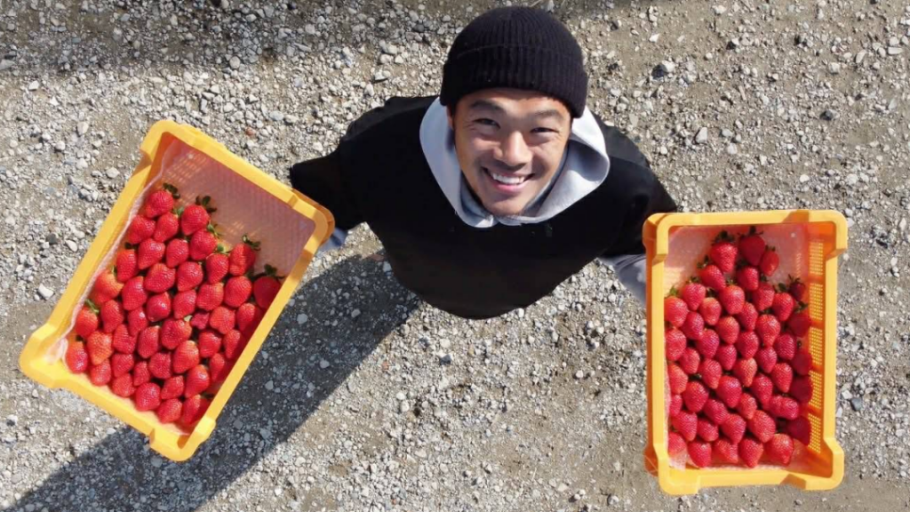 イチゴ農家 樋口さん